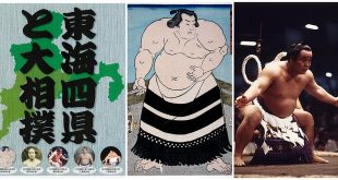 Le sumo et la région du Tokai