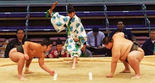sumo sport olympique