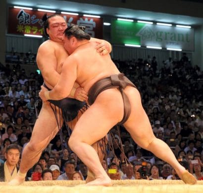 Hakuho est à une victoire du titre après sa victoire sur Kisenosato 