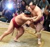 Daiheisho contre Takarafuji