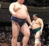 Kisenosato contre Sadanoumi