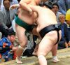 Terunofuji contre Sadanoumi