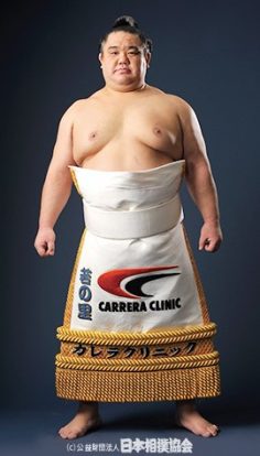 Wakanosato, photo de sa fiche officielle