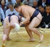Kakuryu contre Tochinoshin