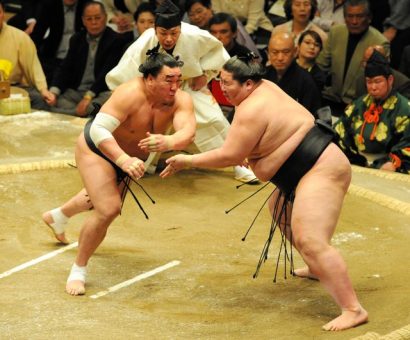 Harumafuji contre Ichinojo