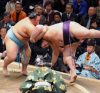 Kotoyuki contre Kaisei