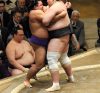 Shohozan contre Terunofuji