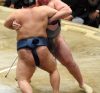 Tochinoshin contre Goeido