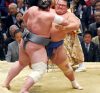 Kotoshogiku contre Tochinoshin