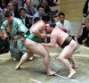 Hakuho contre Kaisei