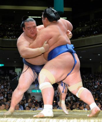 Hakuho et Kisenosato maintiennent l'égalité