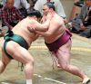 Mitakeumi contre Daishomaru