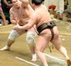 Terunofuji contre Hakuho