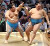Tokushoryu contre Tamawashi