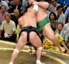 Harumafuji contre Kaisie