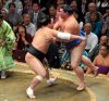 Harumafuji contre Shodai