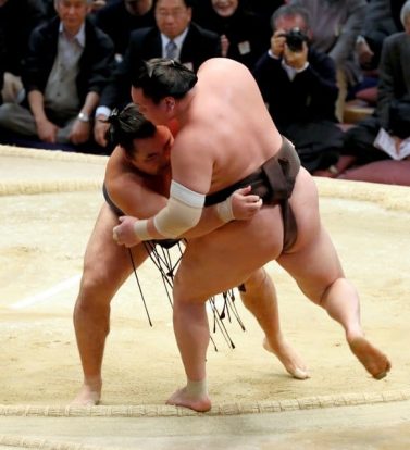 Kakuryu proche d'un troisième titre