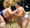 Hokutofuji contre Takanoiwa