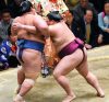 Mitakeumi contre Kotoshogiku
