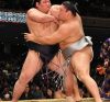 Takanoiwa contre Nishikigi