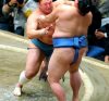Tamawashi contre Shodai