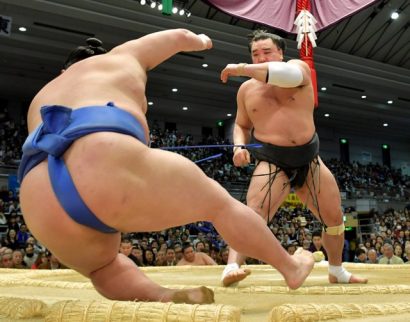 Le yokozuna Harumafuji a obtenu sa cinquième victoire en battant le komusubi Shodai.