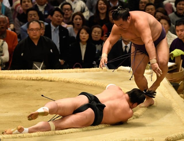 Harumafuji contre Sokokurai