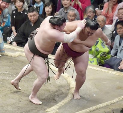 Hakuho, Harumafuji et Takayasu invaincus