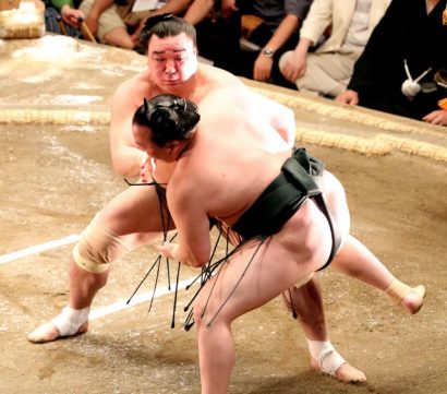 Hakuho et Harumafuji conservent leur invulnérabilité