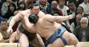 Hakuho contre Shodai
