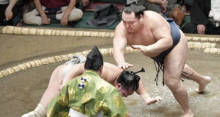 Kakuryu est déjà le seul yokozuna en cours