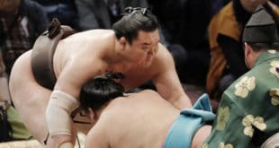 Hakuho contre Meisei