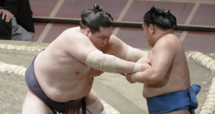 Terunofuji contre Hoshoryu