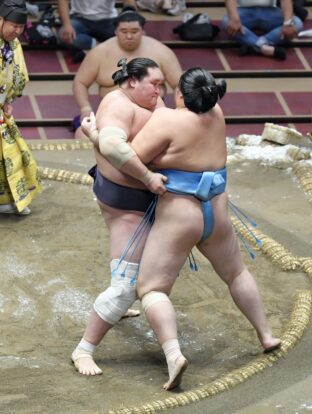 Terunofuji maîtrise Kotonowaka