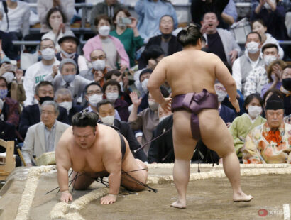 Takakeishô à terre devant Tobizaru