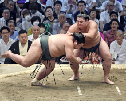 Nishikigi butte contre Shonannoumi