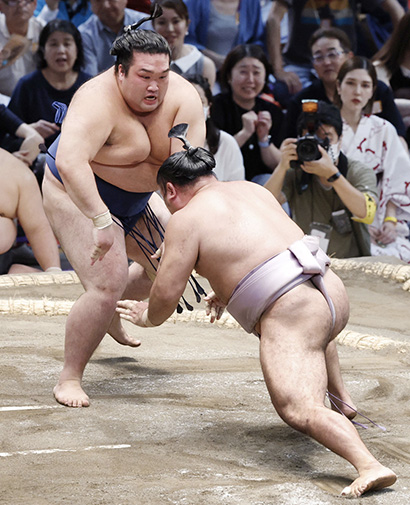 Gonoyama contre Kotoeko