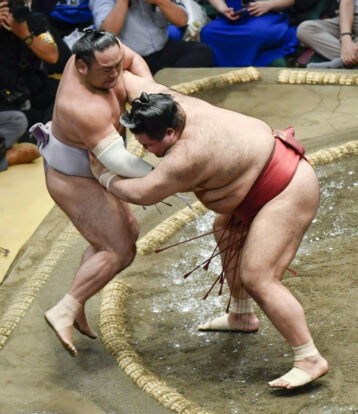 Takayasu repousse Kotoeko