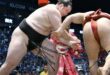 Jour 6 – Le yokozuna Hoshoryu subit sa deuxième défaite, Shishi prend la tête du tournoi de Nagoya